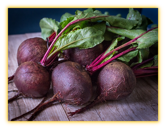 Beet vegetable seed