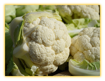 Cauliflower vegetable seed